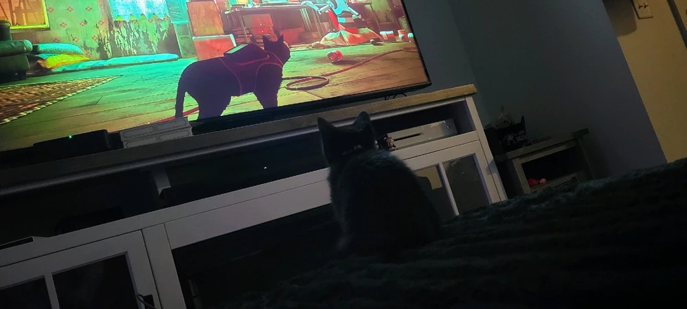 She watched me Play Stray and her fav. Movie is Flow