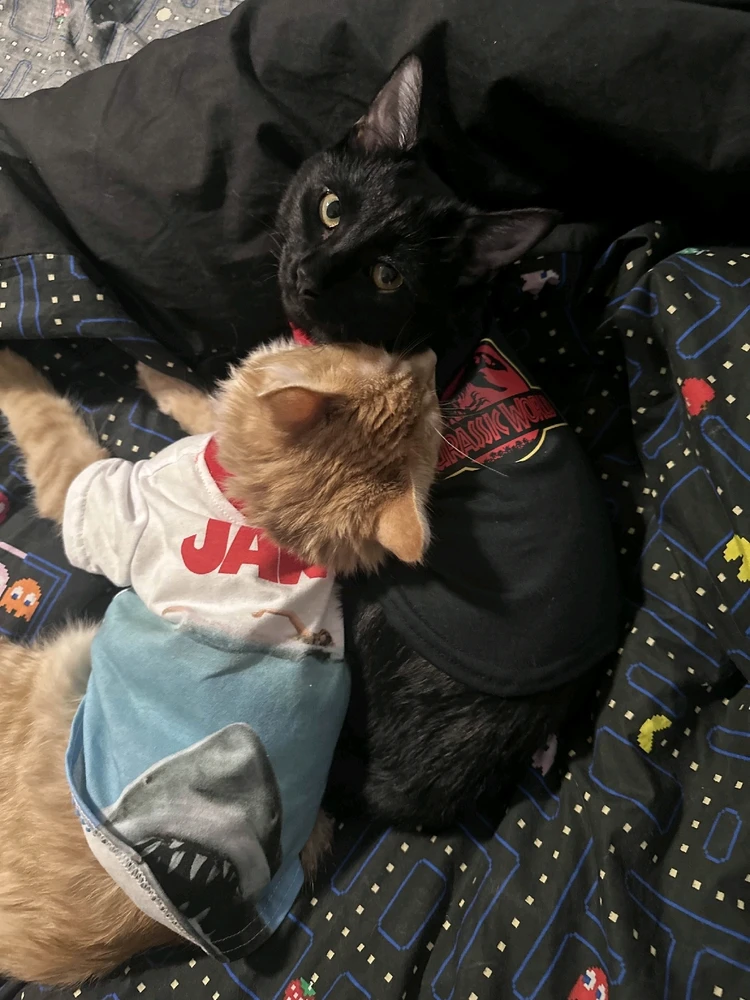 Best friends for Life 😊