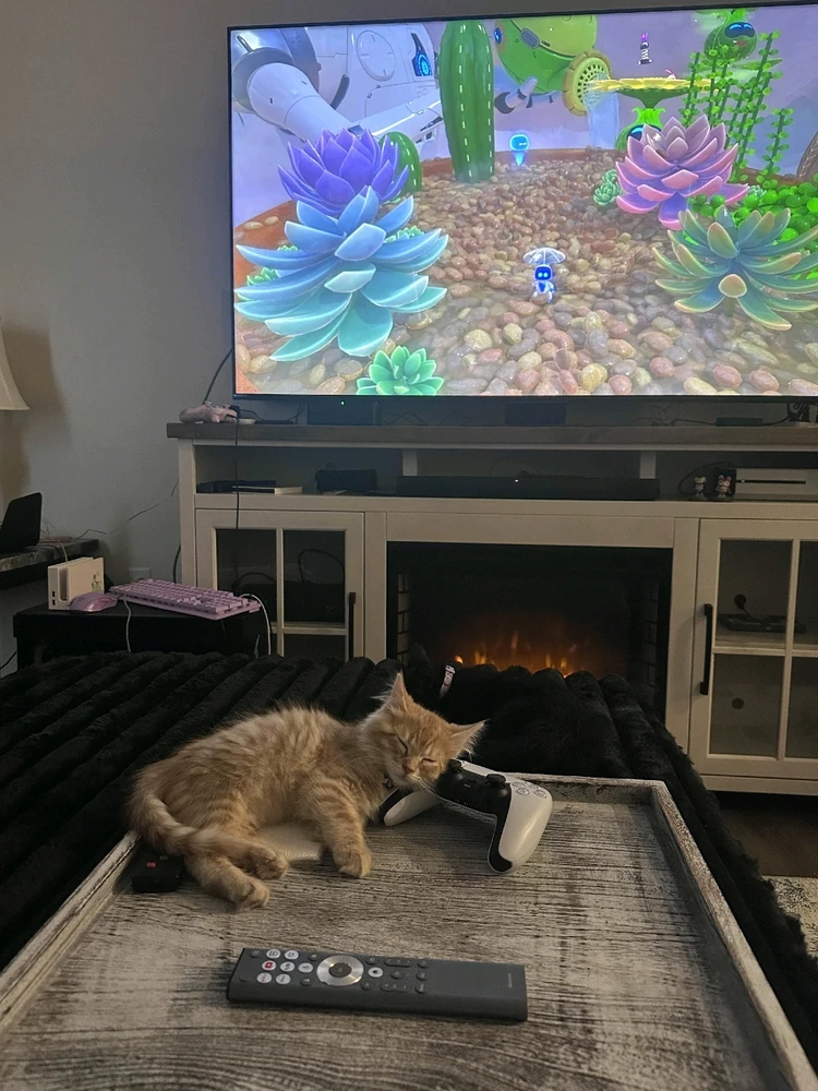 I was trying to 100% Astro Bot but Tetris said Nap Time! I agreed