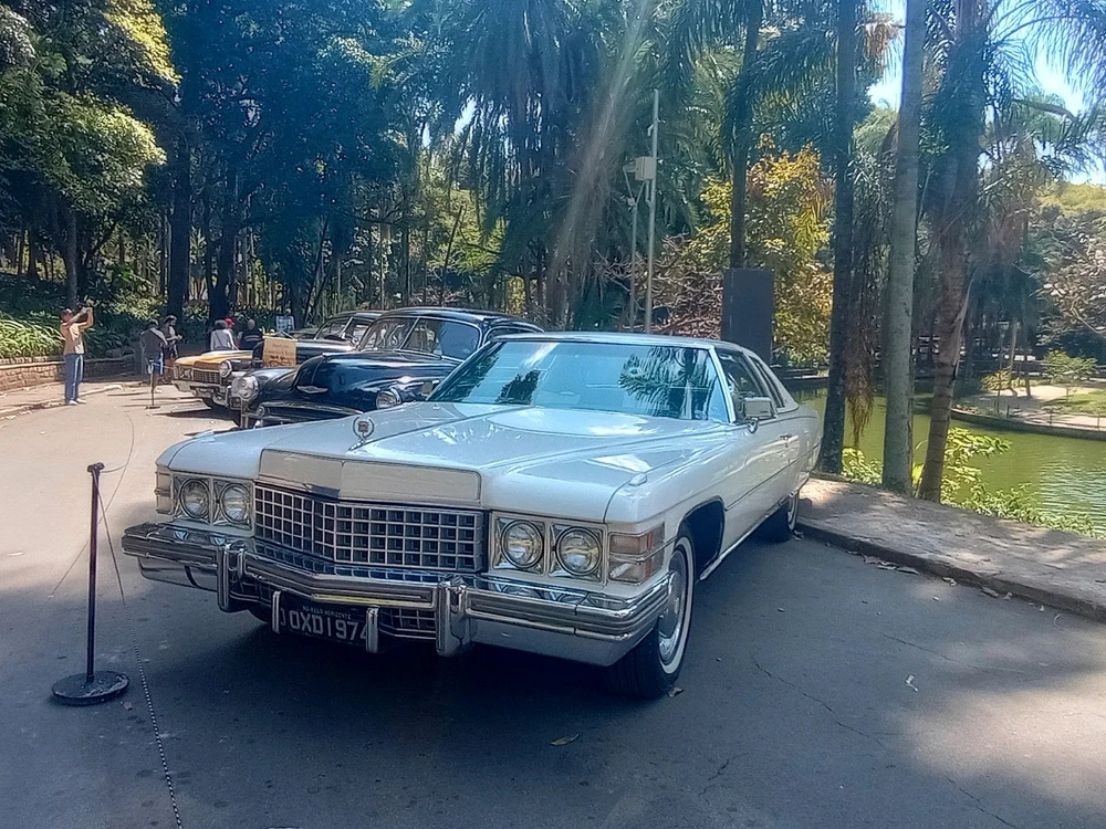 Imagem enviada por michelli