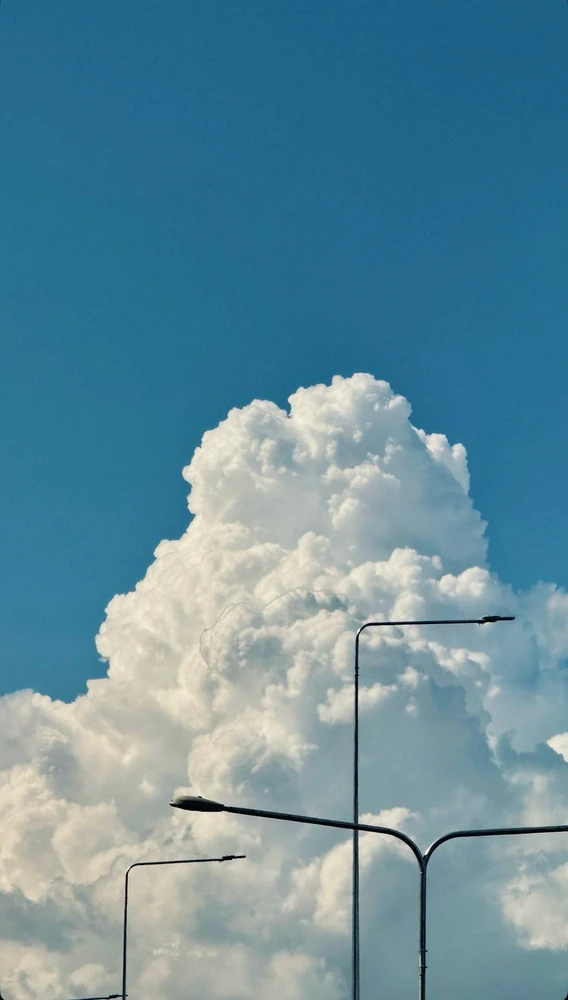 Image uploaded by Happy jha