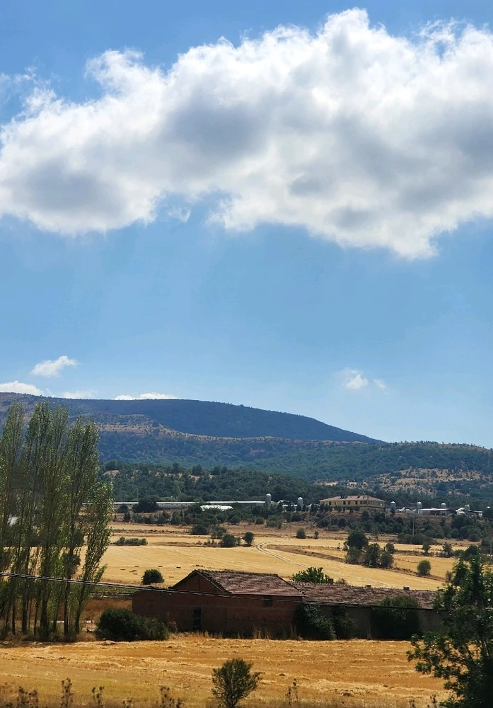 Firdevs tarafından yüklenen GIF