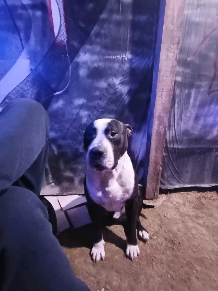 Sliku je postavio/la Zoran