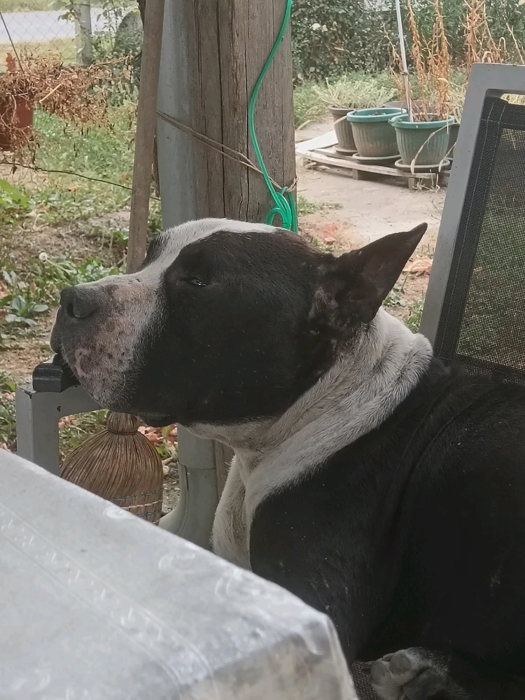 Sliku je postavio/la Zoran