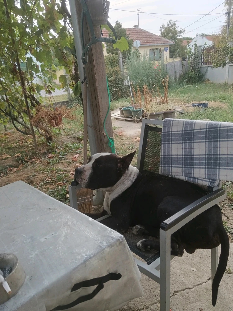 Sliku je postavio/la Zoran