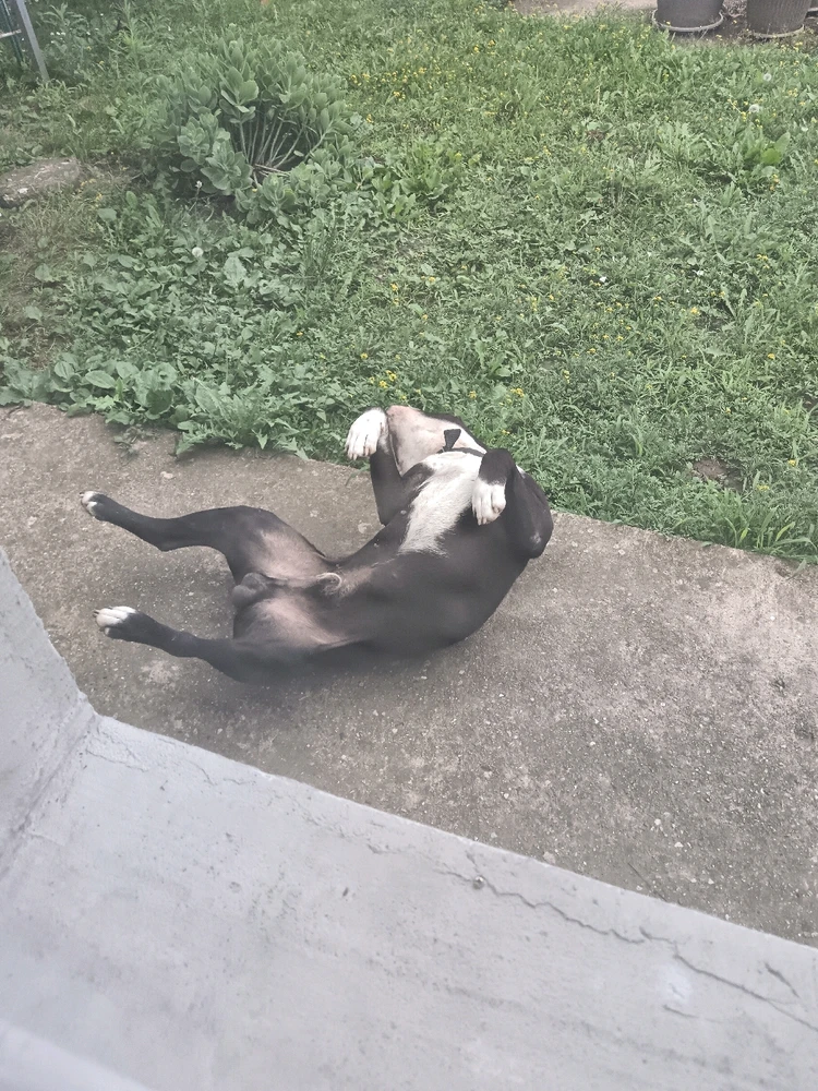 Sliku je postavio/la Zoran