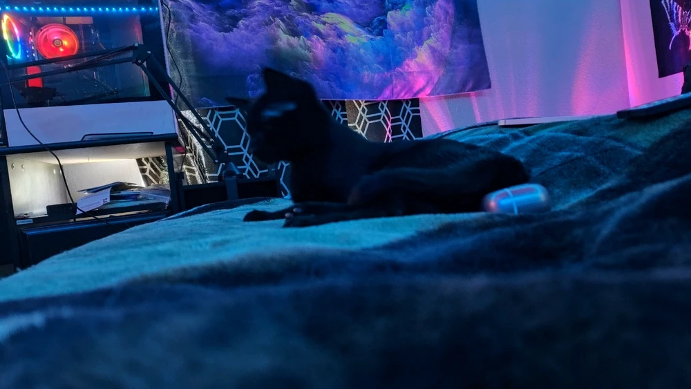 Gambar diunggah dening Sky WolfHart