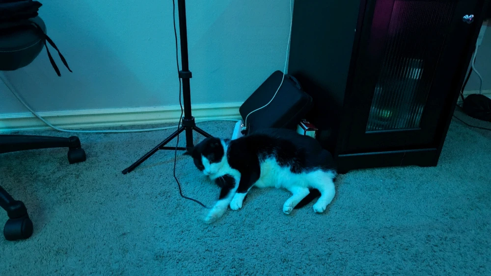 Gambar diunggah dening Sky WolfHart