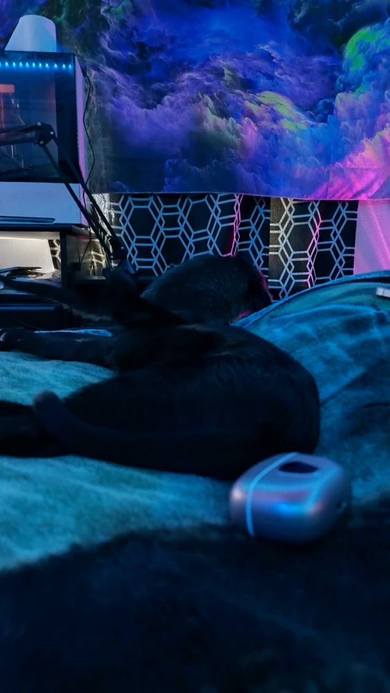 Gambar diunggah dening Sky WolfHart