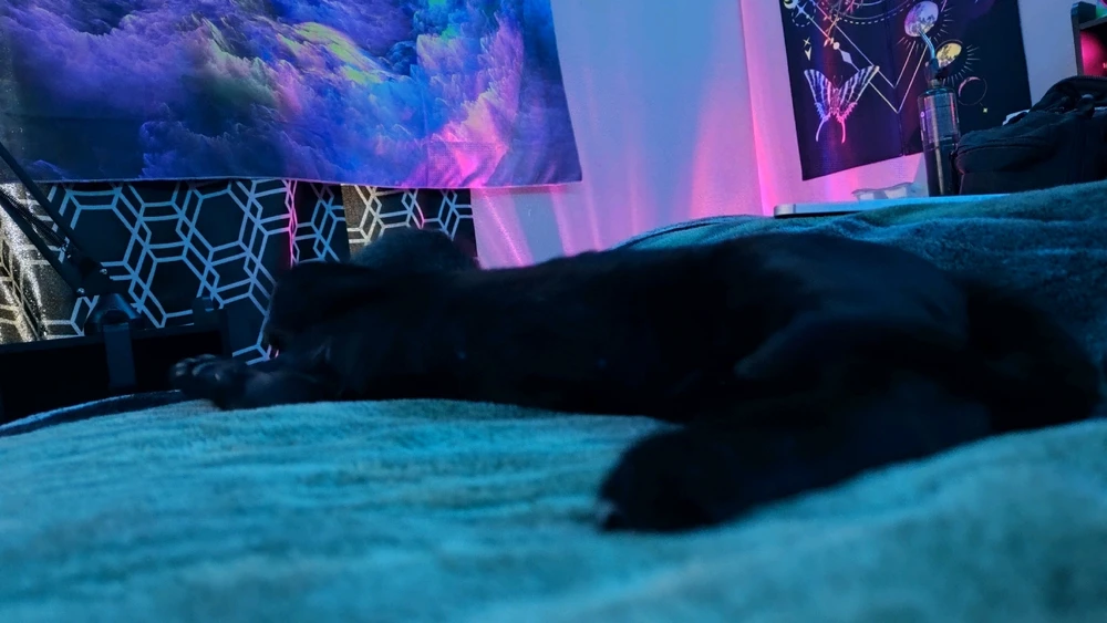 Gambar diunggah dening Sky WolfHart