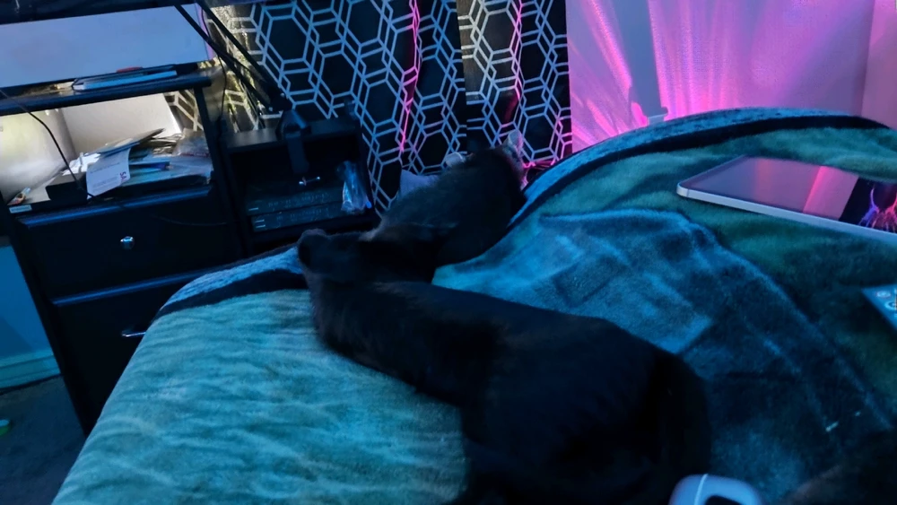 Gambar diunggah dening Sky WolfHart