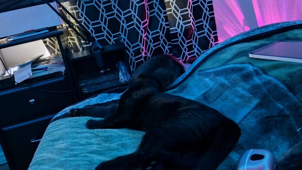 Gambar diunggah dening Sky WolfHart