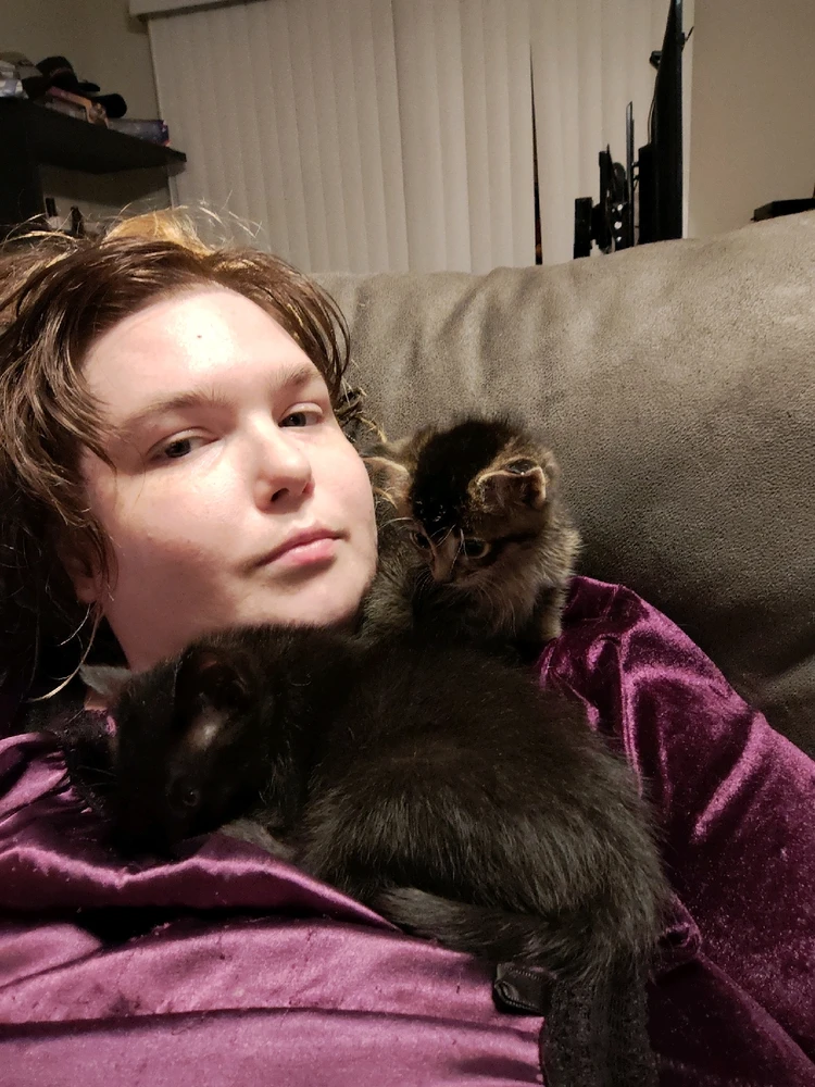 Gambar diunggah dening Sky WolfHart