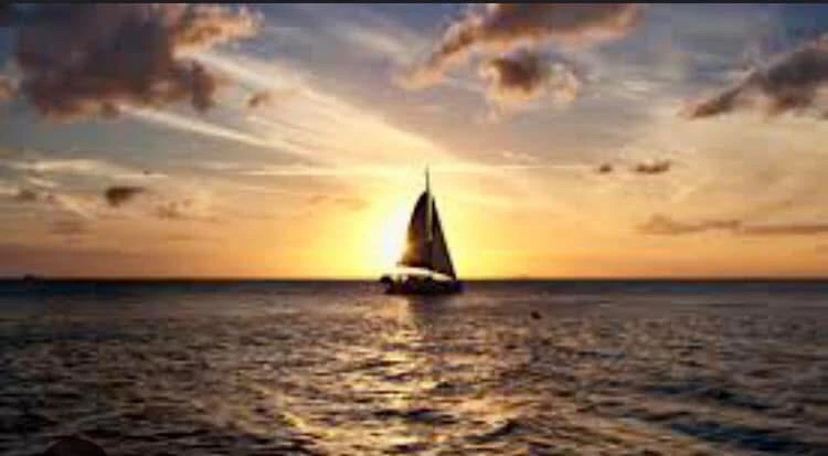 GIF uploaded by Ford Davies