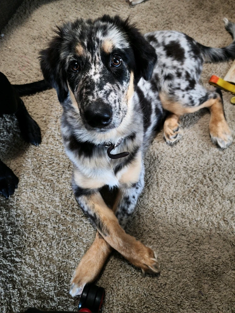 GIF uploaded by Skye