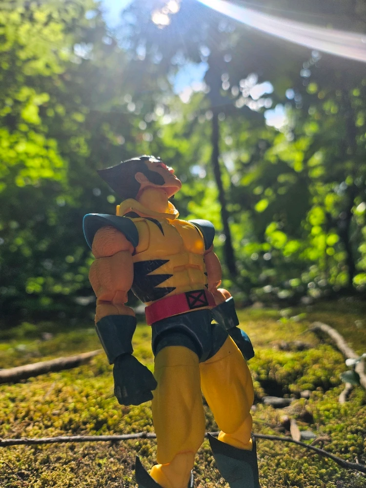 Image uploaded by David