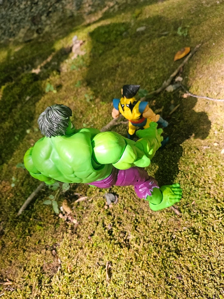 Image uploaded by David