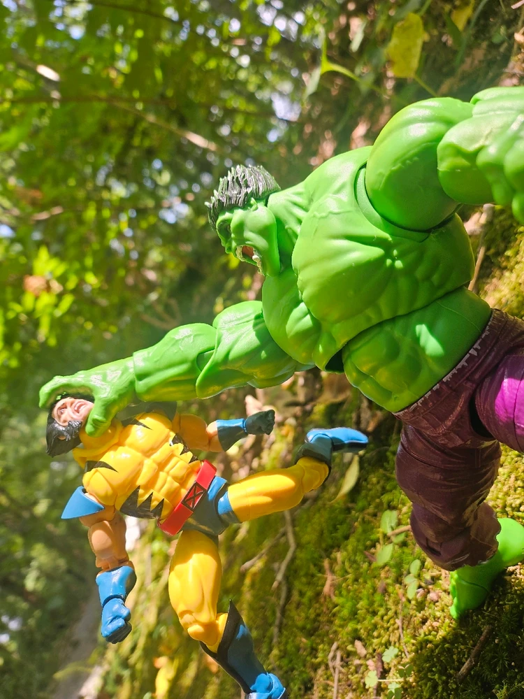 Image uploaded by David