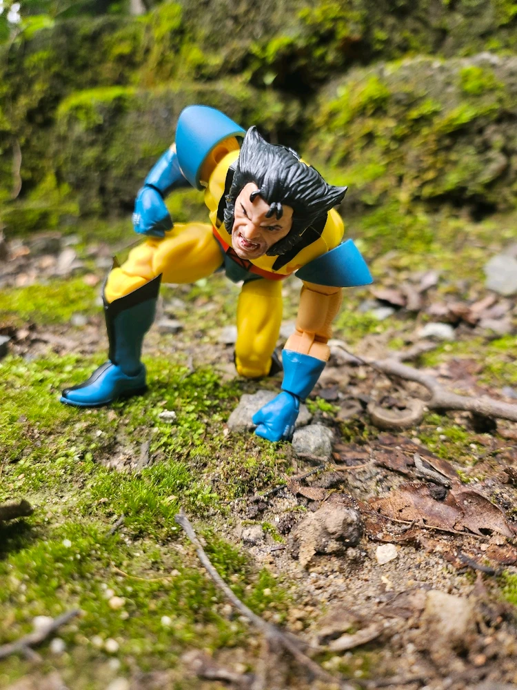 Image uploaded by David