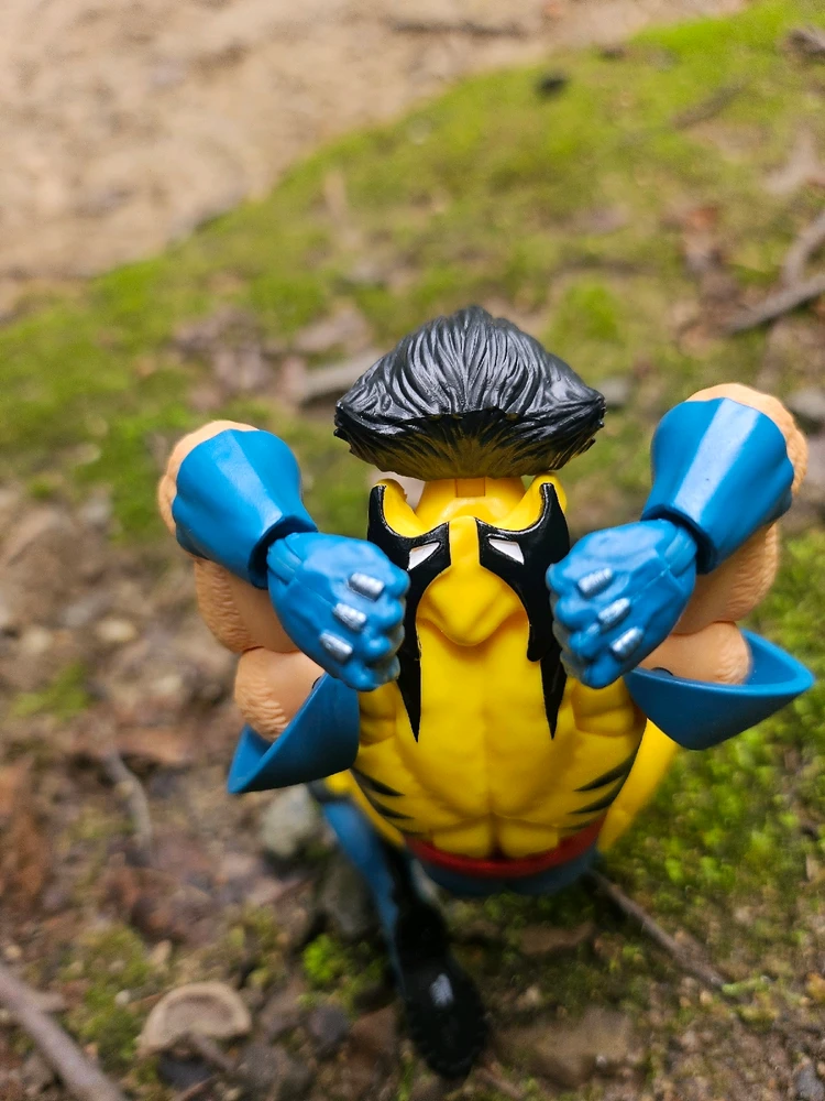 Image uploaded by David