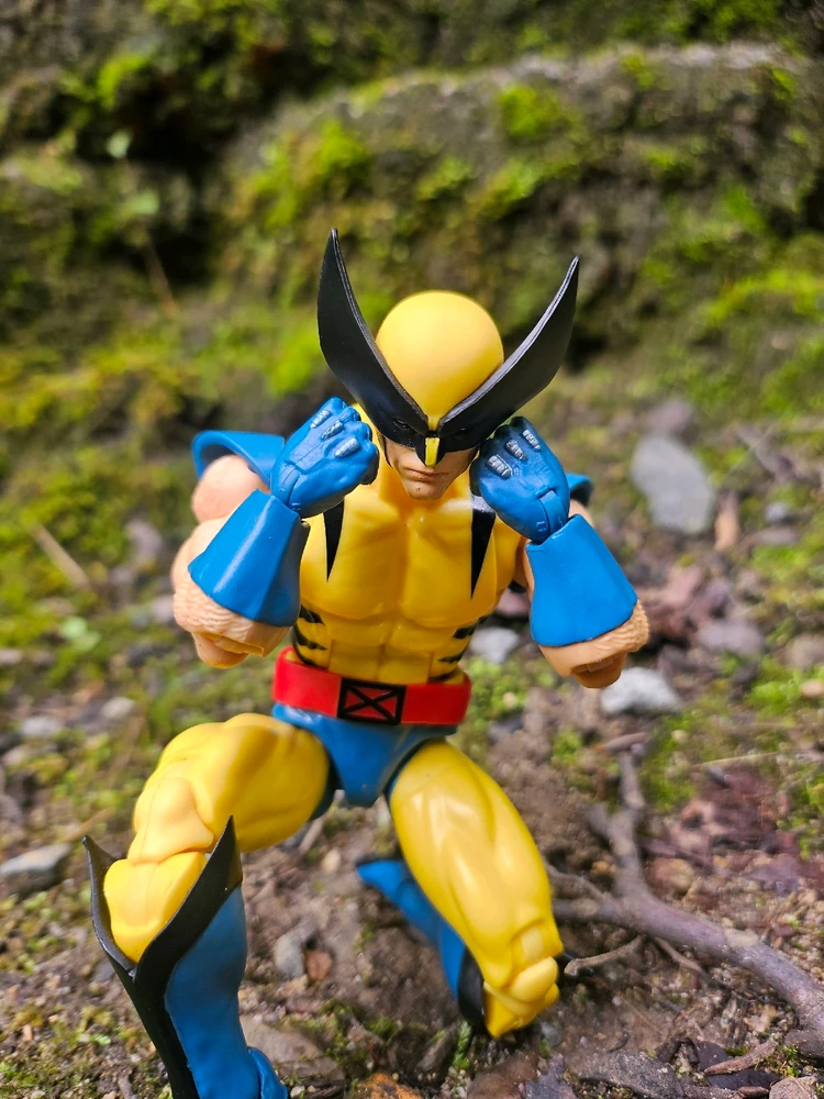 Image uploaded by David