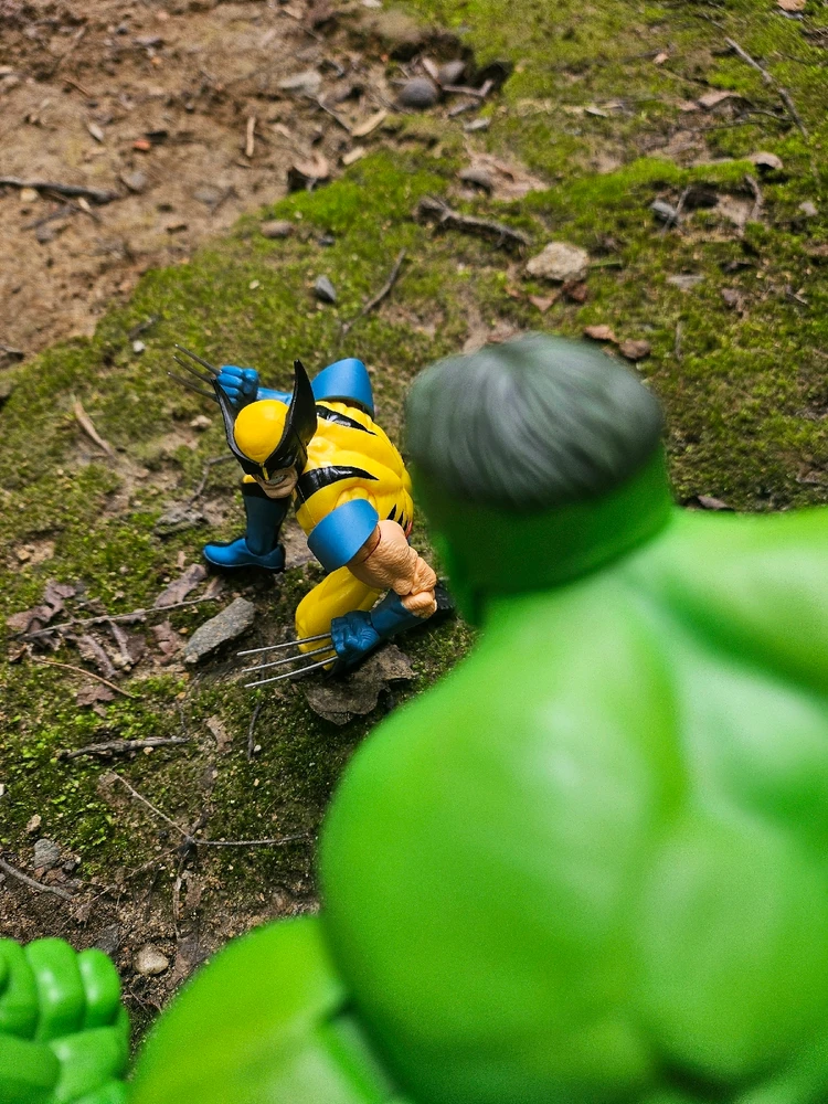 Image uploaded by David