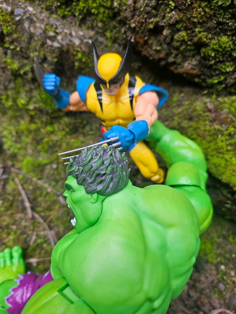 Image uploaded by David