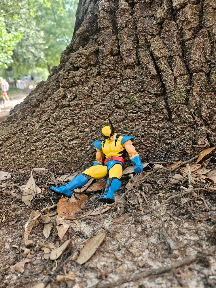 Image uploaded by David