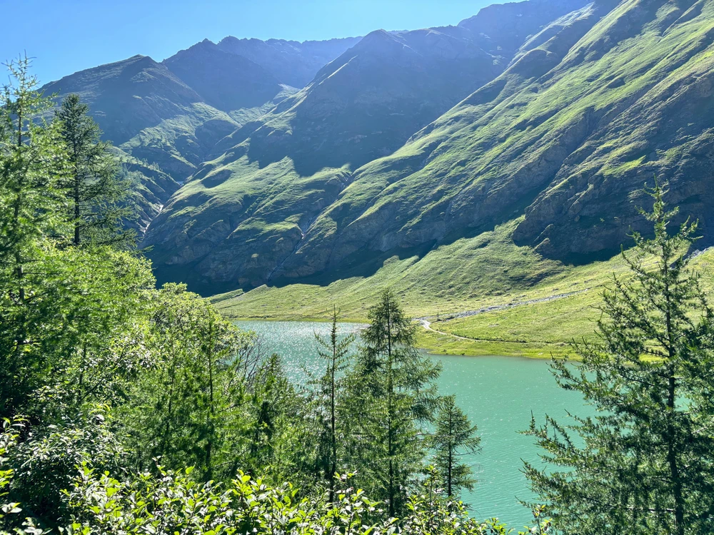 GIF caricata da Giuseppe