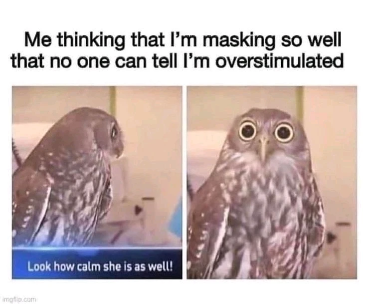 Image uploaded by Lisa