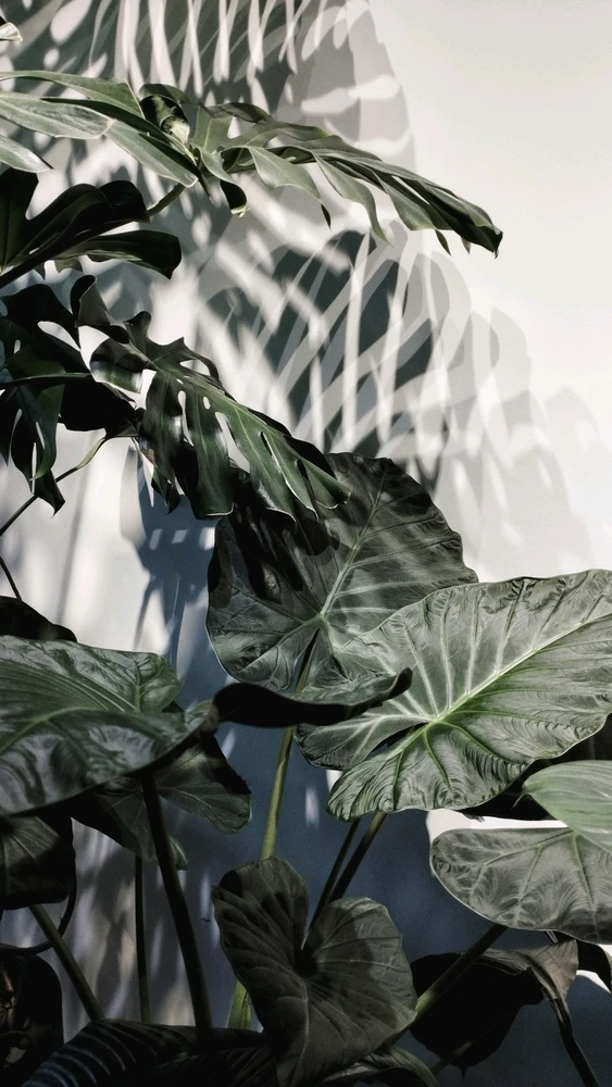 Гіфку завантажив Natalia