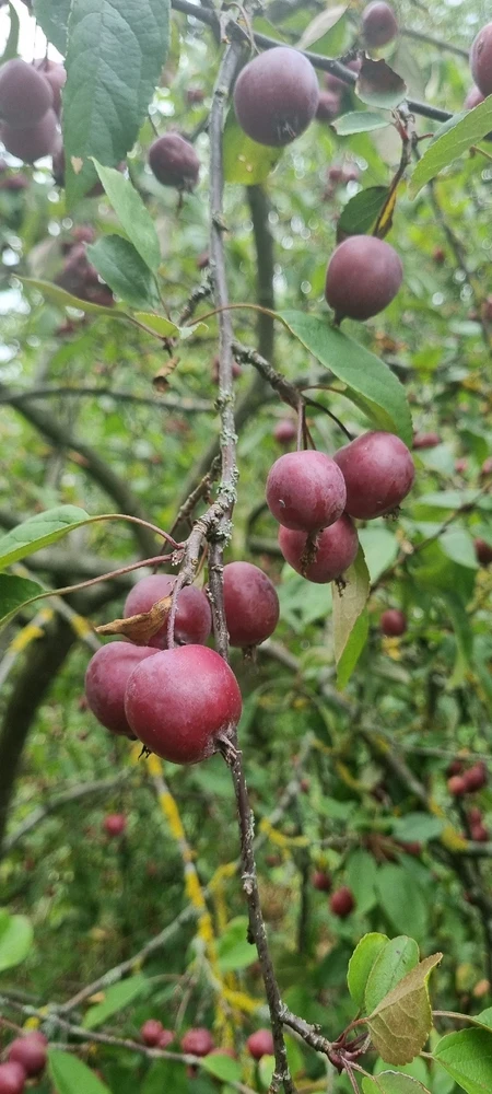 Image uploaded by David