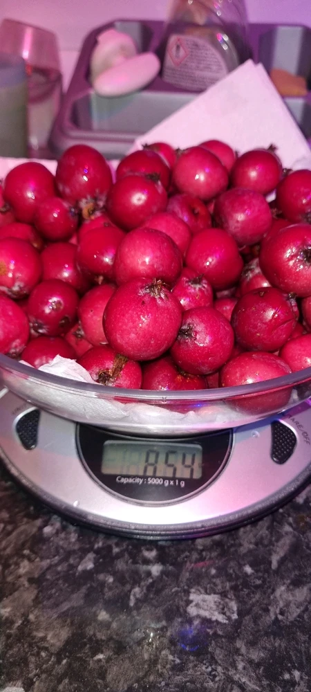 Image uploaded by David