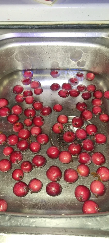 Image uploaded by David