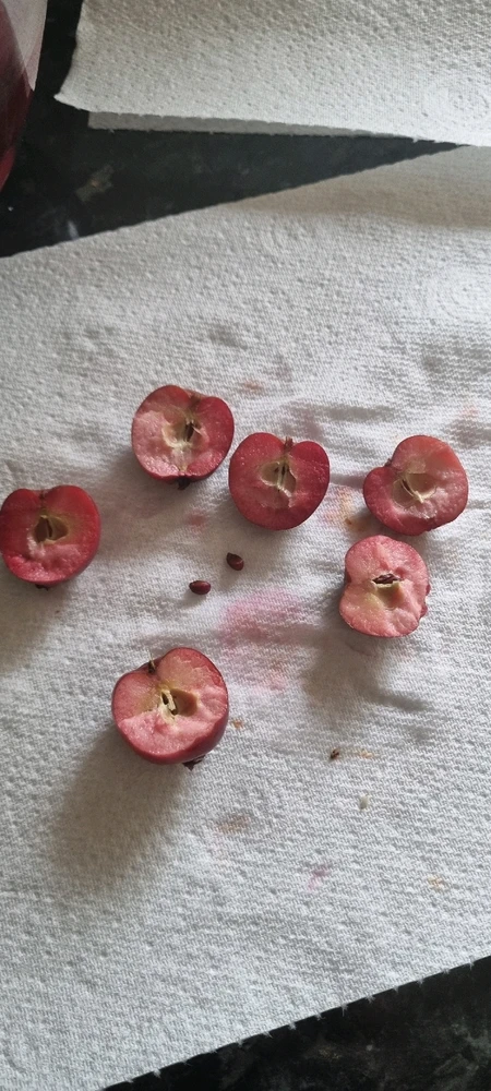 Image uploaded by David