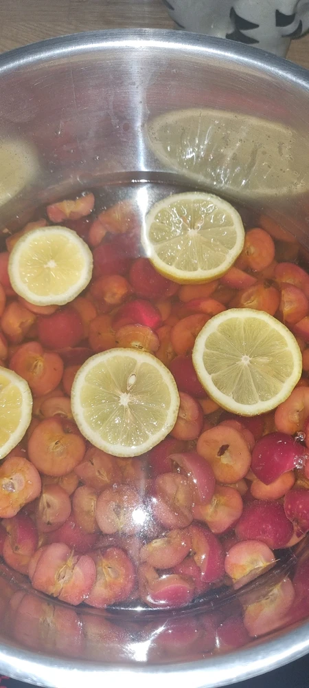 Image uploaded by David