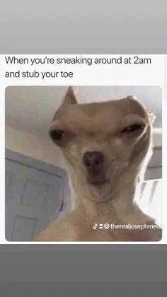 Image uploaded by Alyssa