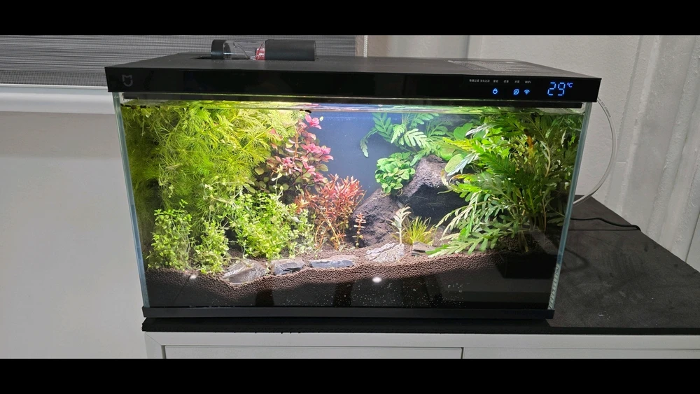 Imagem enviada por Marco