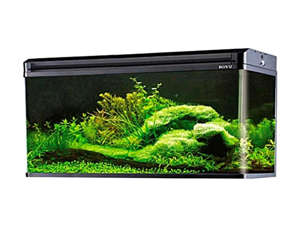 Imagem enviada por Marco