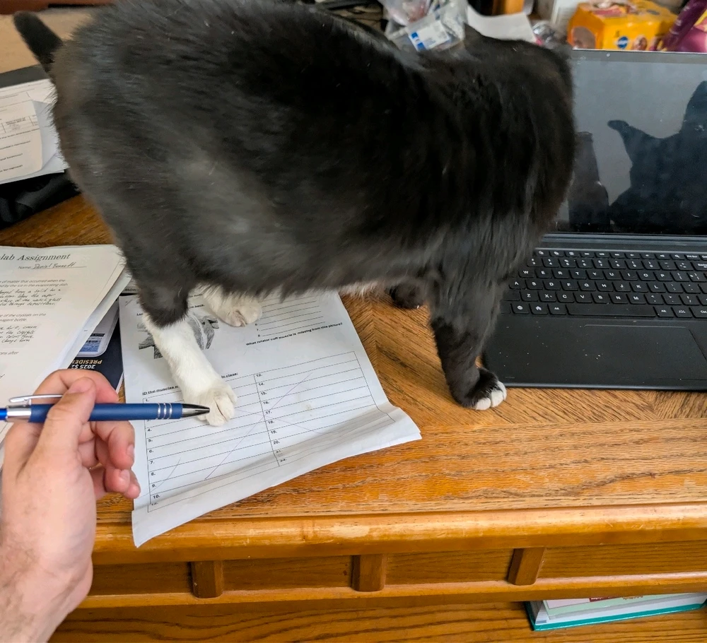 GIF diunggah dening 🇺🇲Daniel Fisk Bennett