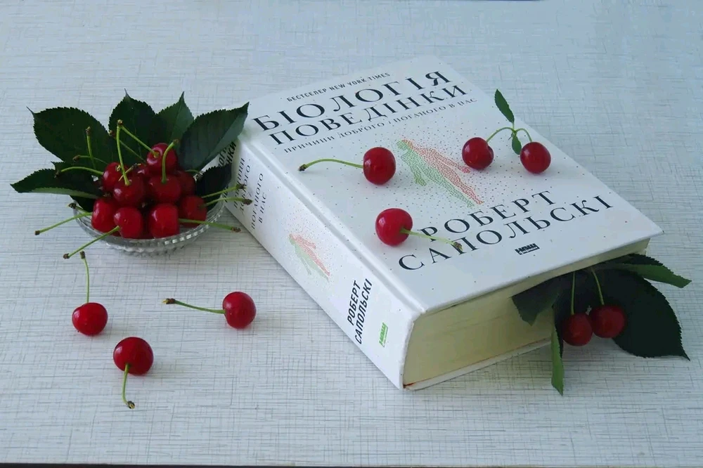 Гіфку завантажив Ksju_Ost