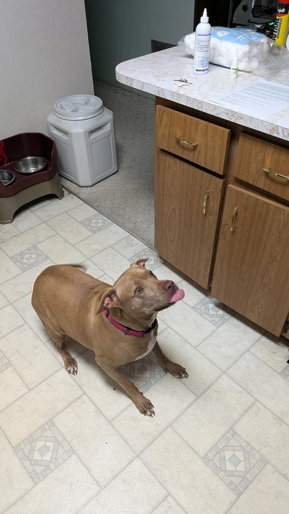 Image uploaded by StinkyCheese