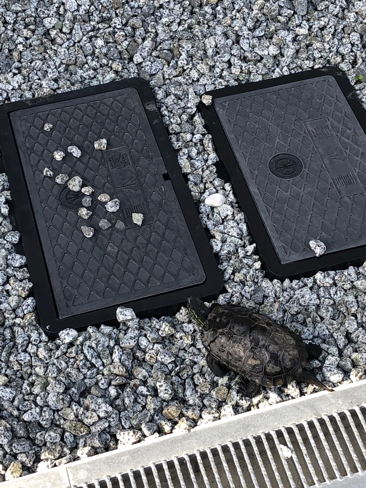 GIF uploaded by 𓂀 𝒦𝑜𝓇𝓇 𓂀