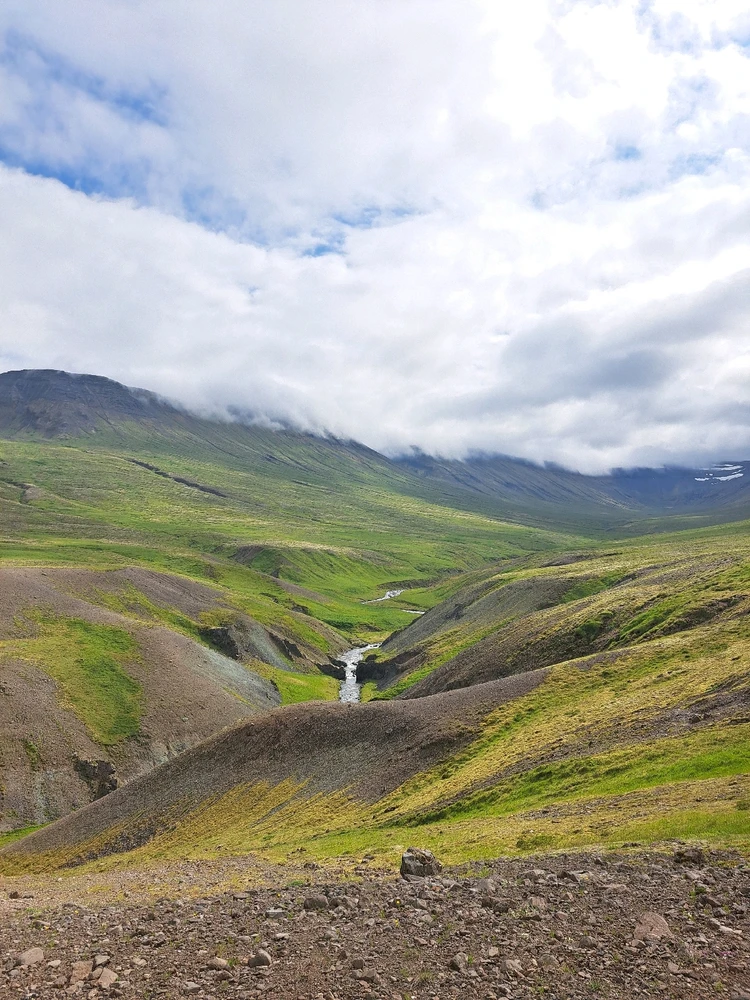 Mynd sett inn af Leó