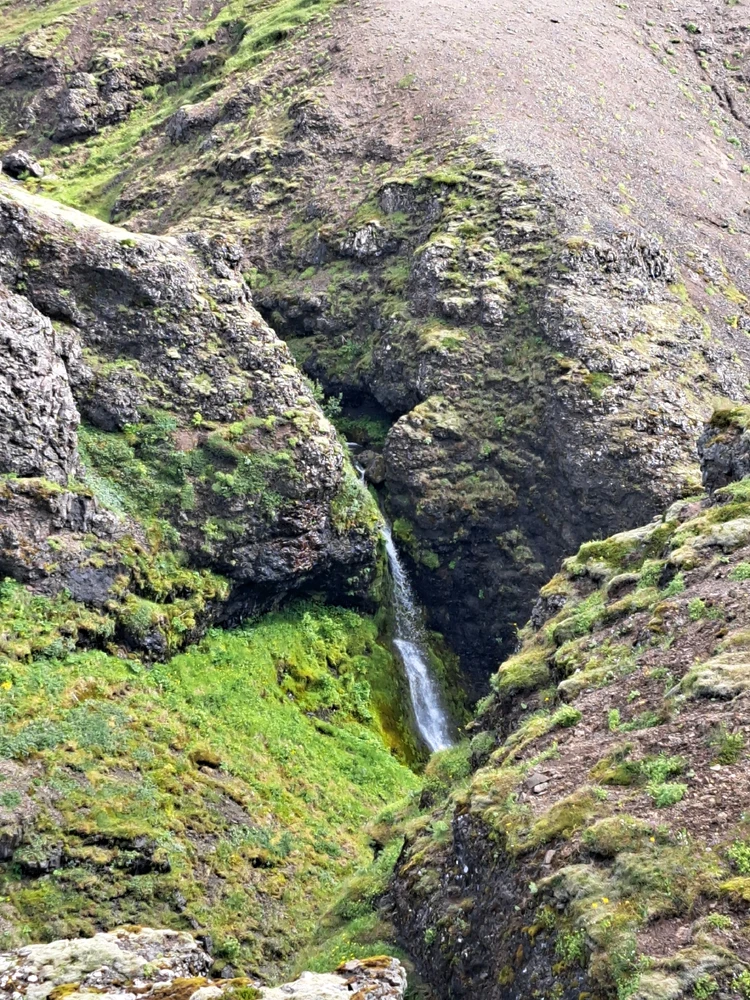 Mynd sett inn af Leó