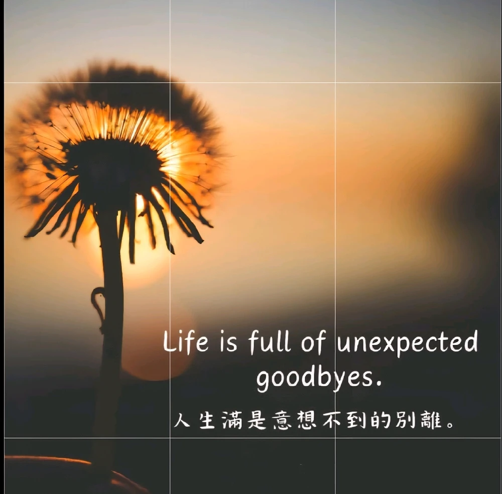 Venus~☆ 上傳的 GIF