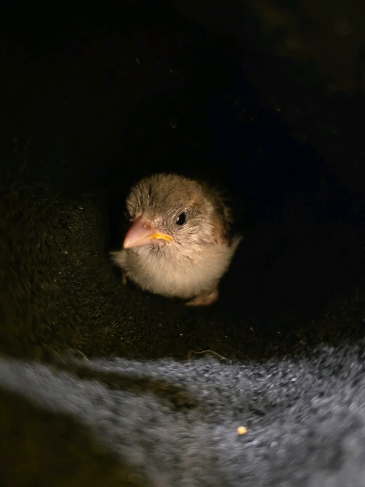 GIF uploaded by Dante H.