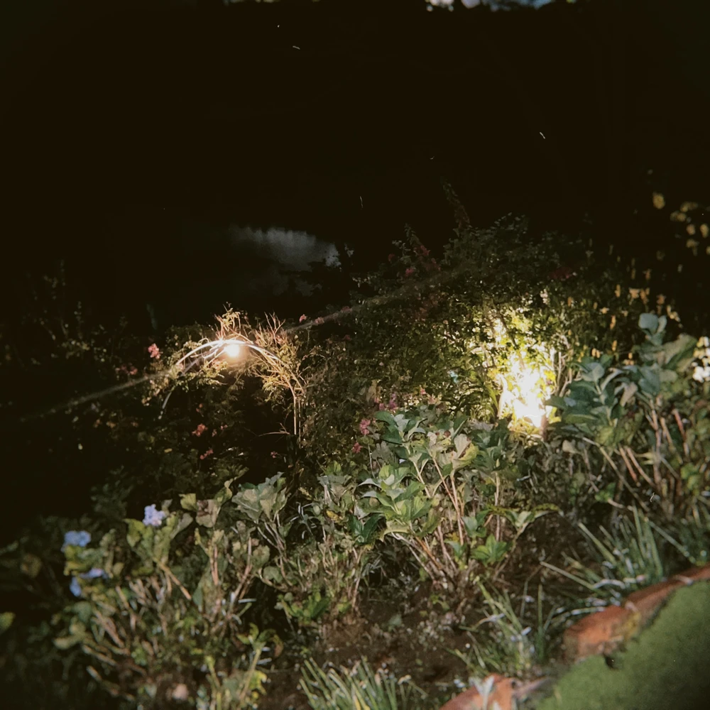 Gambar diunggah dening Dey