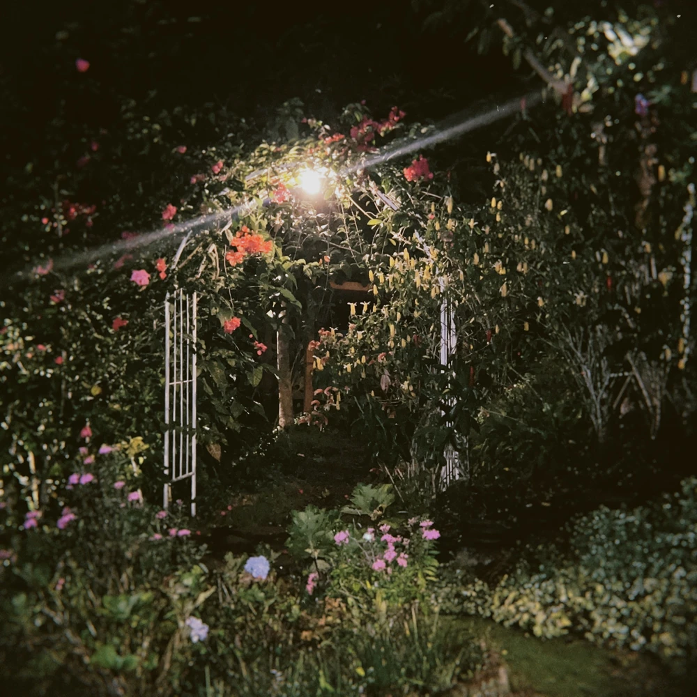 Gambar diunggah dening Dey