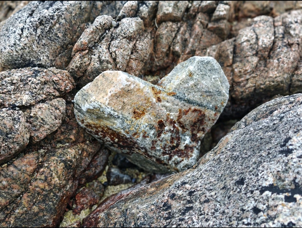 Гіфку завантажив Survivalist